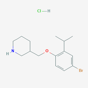 B1527390 3-[(4-Bromo-2-isopropylphenoxy)methyl]piperidine hydrochloride CAS No. 1220021-03-3