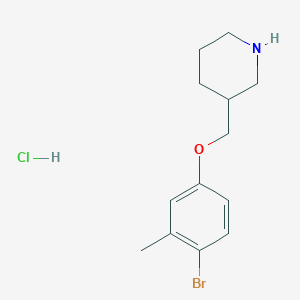 molecular formula C13H19BrClNO B1527400 3-[(4-溴-3-甲基苯氧基)甲基]哌啶盐酸盐 CAS No. 1220027-03-1