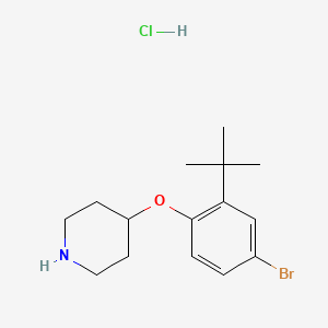 molecular formula C15H23BrClNO B1527412 4-[4-Bromo-2-(tert-butyl)phenoxy]piperidine hydrochloride CAS No. 1220021-09-9