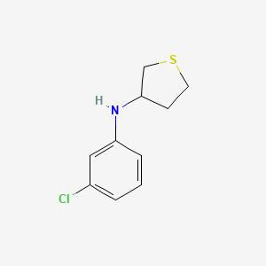 molecular formula C10H12ClNS B15274169 N-(3-chlorophenyl)thiolan-3-amine 