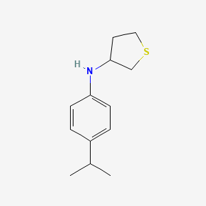 molecular formula C13H19NS B15274247 N-[4-(Propan-2-yl)phenyl]thiolan-3-amine 