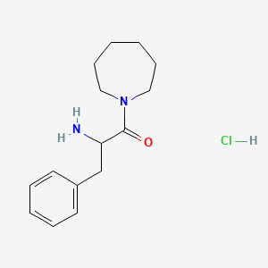 molecular formula C15H23ClN2O B1527506 2-氨基-1-(1-氮杂环戊基)-3-苯基-1-丙酮盐酸盐 CAS No. 1236262-13-7