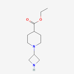 molecular formula C11H20N2O2 B15275579 Ethyl 1-(azetidin-3-yl)piperidine-4-carboxylate 