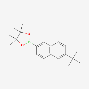 molecular formula C20H27BO2 B1527656 6-叔丁基萘-2-硼酸频哪醇酯 CAS No. 1620789-31-2