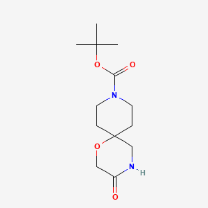molecular formula C13H22N2O4 B1527689 叔丁基 3-氧代-1-氧杂-4,9-二氮杂螺[5.5]十一烷-9-羧酸酯 CAS No. 1160247-07-3