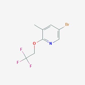 molecular formula C8H7BrF3NO B1527753 5-Bromo-3-methyl-2-(2,2,2-trifluoroethoxy)pyridine CAS No. 1187930-58-0