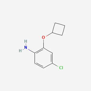 4-Chloro-2-cyclobutoxyaniline