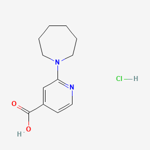 molecular formula C12H17ClN2O2 B1527768 2-氮杂环-1-基异烟酸盐酸盐 CAS No. 1187932-74-6