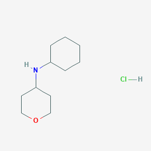 molecular formula C11H22ClNO B1527809 Cyclohexyl-(tetrahydro-pyran-4-YL)-amine hydrochloride CAS No. 1158611-47-2