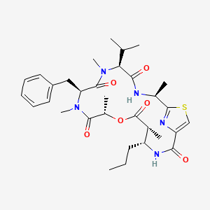 Ulongamide A