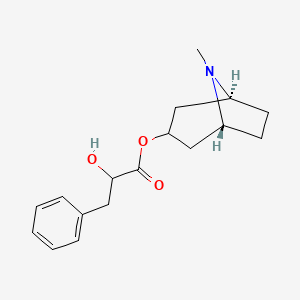 (3-endo)-8-Methyl-8-azabicyclo[3.2.1]octan-3-yl 2-hydroxy-3-phenylpropanoate