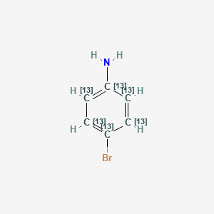 molecular formula C6H6BrN B1528112 4-溴(~13~C_6_)苯胺 CAS No. 1173018-70-6