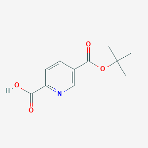 molecular formula C11H13NO4 B1528194 5-[(叔丁氧羰基)吡啶-2-甲酸] CAS No. 1415819-86-1