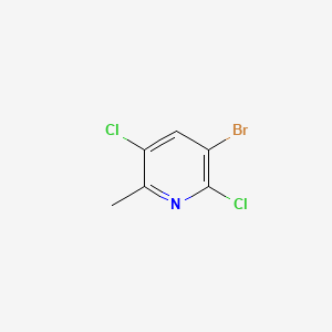 molecular formula C6H4BrCl2N B1528205 3-溴-2,5-二氯-6-甲基吡啶 CAS No. 1420800-44-7