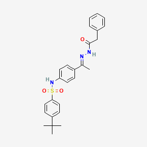 4-tert-butyl-N-{4-[N-(phenylacetyl)ethanehydrazonoyl]phenyl}benzenesulfonamide