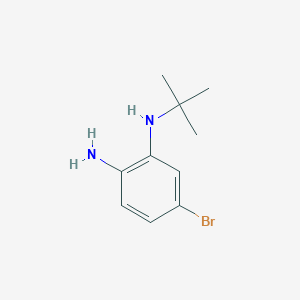 molecular formula C10H15BrN2 B1528365 5-bromo-N1-tert-butylbenzene-1,2-diamine CAS No. 1163707-72-9