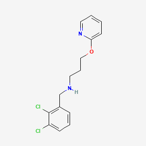 N-(2,3-dichlorobenzyl)-3-(pyridin-2-yloxy)propan-1-amine