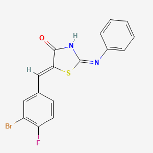 (5Z)-2-anilino-5-[(3-bromo-4-fluorophenyl)methylidene]-1,3-thiazol-4-one