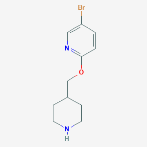molecular formula C11H15BrN2O B1528628 5-Bromo-2-(piperidin-4-ylmethoxy)pyridine CAS No. 1247631-23-7