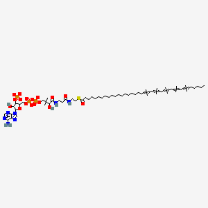 molecular formula C59H96N7O17P3S-4 B15287267 [5-(6-aminopurin-9-yl)-4-hydroxy-2-[[[[3-hydroxy-2,2-dimethyl-4-[[3-(2-octatriaconta-20,23,26,29,32-pentaenoylsulfanylethylamino)-3-oxopropyl]amino]-4-oxobutoxy]-oxidophosphoryl]oxy-oxidophosphoryl]oxymethyl]oxolan-3-yl] phosphate 