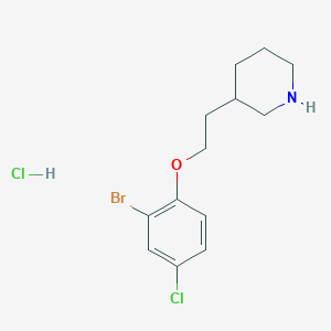 molecular formula C13H18BrCl2NO B1528863 3-[2-(2-Bromo-4-chlorophenoxy)ethyl]piperidine hydrochloride CAS No. 1220032-06-3