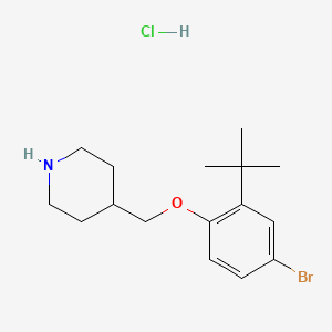 molecular formula C16H25BrClNO B1528865 4-Bromo-2-(tert-butyl)phenyl 4-piperidinylmethyl ether hydrochloride CAS No. 1220018-95-0
