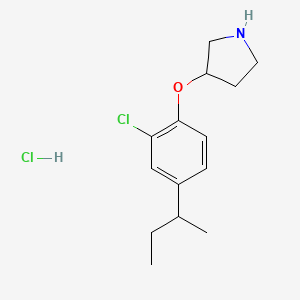 molecular formula C14H21Cl2NO B1528866 3-[4-(叔丁基)-2-氯苯氧基]吡咯烷盐酸盐 CAS No. 1220027-48-4