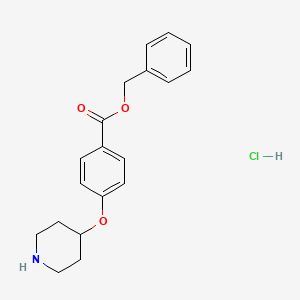 molecular formula C19H22ClNO3 B1528868 Benzyl 4-(4-piperidinyloxy)benzoate hydrochloride CAS No. 1220020-15-4