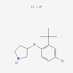 molecular formula C14H21BrClNO B1528882 3-[4-溴-2-(叔丁基)苯氧基]吡咯烷盐酸盐 CAS No. 1220017-73-1