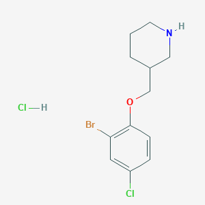 molecular formula C12H16BrCl2NO B1528884 3-[(2-Bromo-4-chlorophenoxy)methyl]piperidine hydrochloride CAS No. 1220028-84-1