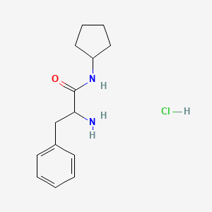 molecular formula C14H21ClN2O B1528891 2-氨基-N-环戊基-3-苯基丙酰胺盐酸盐 CAS No. 1246172-70-2