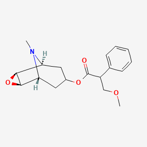 O-Methylscopolamine