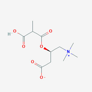 O-methylmalonyl-L-carnitine