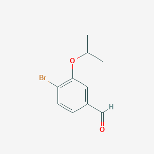 molecular formula C10H11BrO2 B1529132 4-溴-3-异丙氧基苯甲醛 CAS No. 1289069-40-4