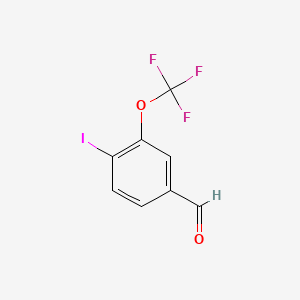 molecular formula C8H4F3IO2 B15291627 4-Iodo-3-(trifluoromethoxy)benzaldehyde 