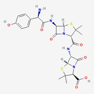 APA amoxicillin amide