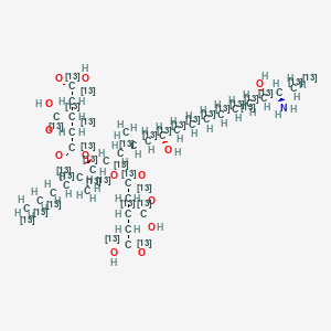 molecular formula C34H59NO14 B15294797 2-[2-[(5S,6R,7R,9R,11S,18R,19S)-19-amino-6-[3,4-bis(hydroxycarbonyl)(1,2,3,4-13C4)butanoyloxy]-11,18-dihydroxy-5,9-di((113C)methyl)(1,2,3,4,5,6,7,8,9,10,11,12,13,14,15,16,17,18,19,20-13C20)icosan-7-yl]oxy-2-oxo(1,2-13C2)ethyl](1,2,3,4-13C4)butanedioic acid 