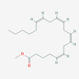 molecular formula C21H34O2 B152956 花生四烯酸甲酯 CAS No. 2566-89-4