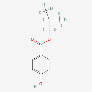 Isobutyl-d9 Paraben