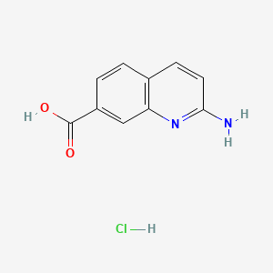 2-Aminoquinoline-7-carboxylic acid hydrochloride