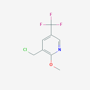 molecular formula C8H7ClF3NO B1529633 3-(Chloromethyl)-2-methoxy-5-(trifluoromethyl)pyridine CAS No. 944904-67-0