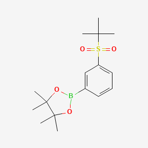 molecular formula C16H25BO4S B15296543 2-[3-[(1,1-Dimethylethyl)sulfonyl]phenyl]-4,4,5,5-tetramethyl-1,3,2-dioxaborolane 