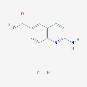 molecular formula C10H9ClN2O2 B15296860 2-Aminoquinoline-6-carboxylic Acid Hydrochloride 