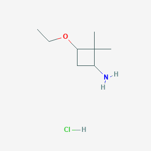 molecular formula C8H18ClNO B1529706 3-Ethoxy-2,2-dimethylcyclobutan-1-amine hydrochloride CAS No. 1408076-08-3