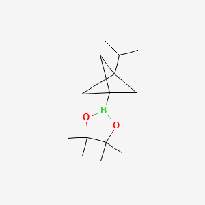 4,4,5,5-Tetramethyl-2-[3-(propan-2-yl)bicyclo[1.1.1]pentan-1-yl]-1,3,2-dioxaborolane