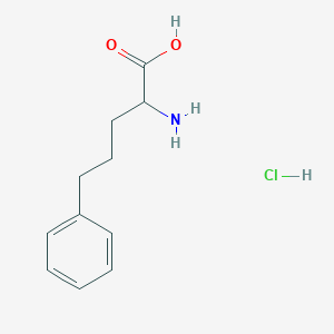 2-Amino-5-phenylpentanoic acid hydrochloride