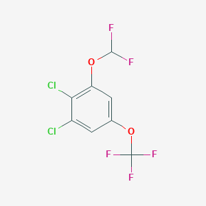 molecular formula C8H3Cl2F5O2 B1529905 1,2-Dichloro-3-difluoromethoxy-5-(trifluoromethoxy)benzene CAS No. 1803819-48-8
