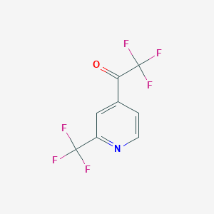 molecular formula C8H3F6NO B1529919 2,2,2-Trifluoro-1-(2-(trifluoromethyl)pyridin-4-YL)ethanone CAS No. 1060816-51-4