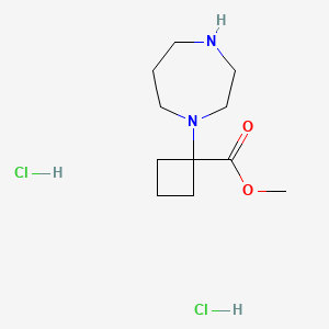 molecular formula C11H22Cl2N2O2 B15299365 Methyl 1-(1,4-diazepan-1-yl)cyclobutane-1-carboxylate dihydrochloride 