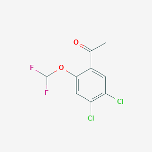 molecular formula C9H6Cl2F2O2 B1530025 4',5'-Dichloro-2'-(difluoromethoxy)acetophenone CAS No. 1807057-97-1